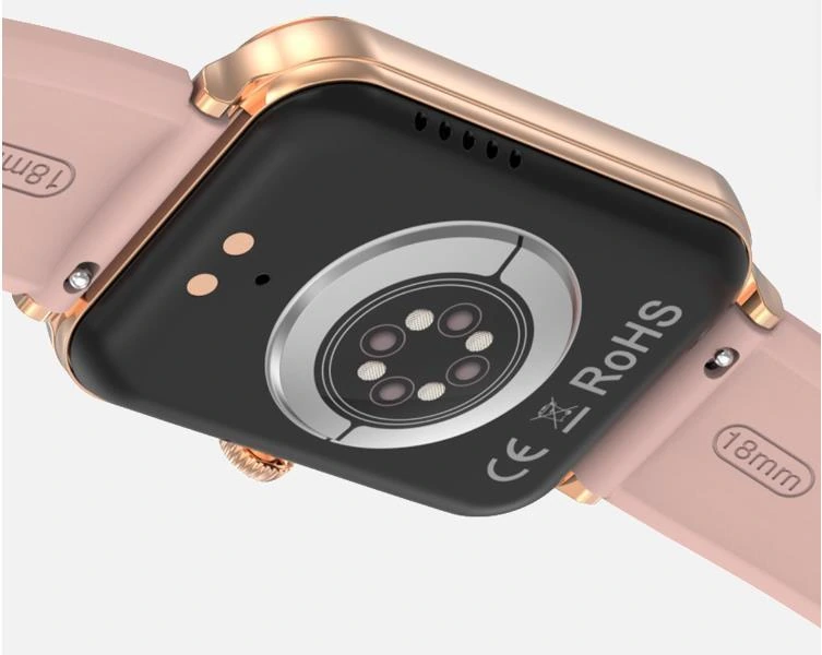 Detalle de carga magnética trasera de DT V1